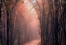 三亿体育体育中国官网-豪取胜仗！曼联轻松击败水晶宫，主场告捷！