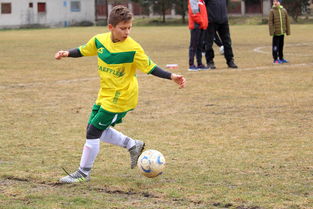 三亿体育体育登录-国内足球比赛成绩受关注,球员实力备受赞扬