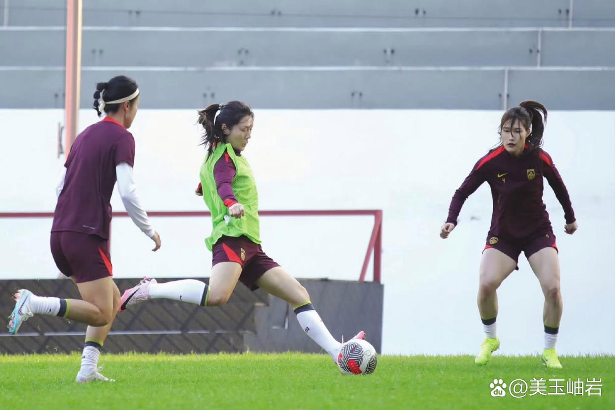 三亿体育体育app-包含国际女足球队实力雄厚,备受瞩目的词条