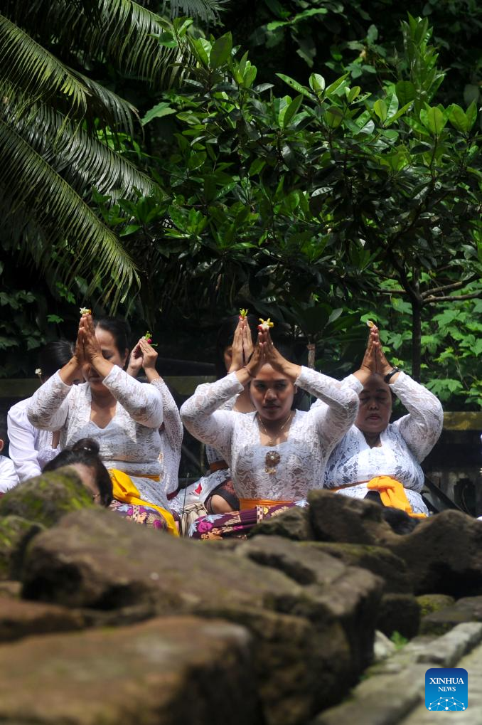 三亿体育体育官网入口-包含东南亚选手频频上演,引人瞩目的词条